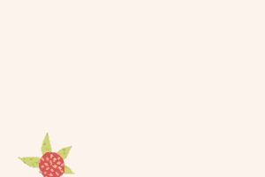 tomizawa-saori website