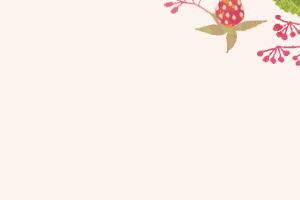 tomizawa-saori website