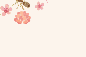 tomizawa-saori website